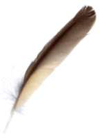 like a feather...